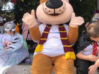 Bewdley Carnival photo