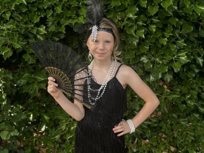 Bewdley Carnival photo
